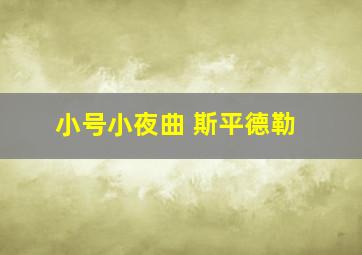 小号小夜曲 斯平德勒